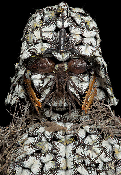 Klaus_Enrique_Darth_Vader_White